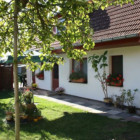 Ferienwohnung Wiesenblick Prerow Exteriör bild